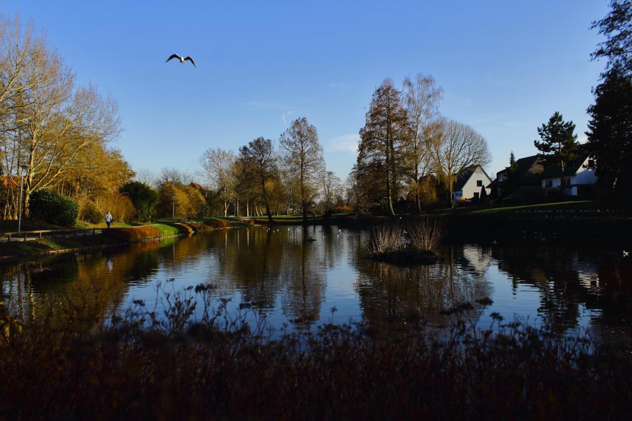 Ferienwohnungen Schoofs Kalkar Bagian luar foto